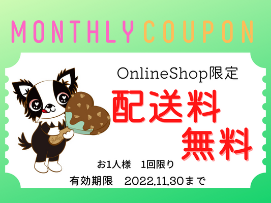11月のクーポン