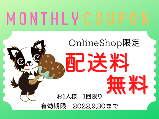 9月のクーポン