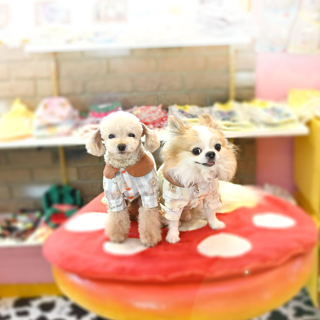 予約受付中☆くまさんシャツ☆