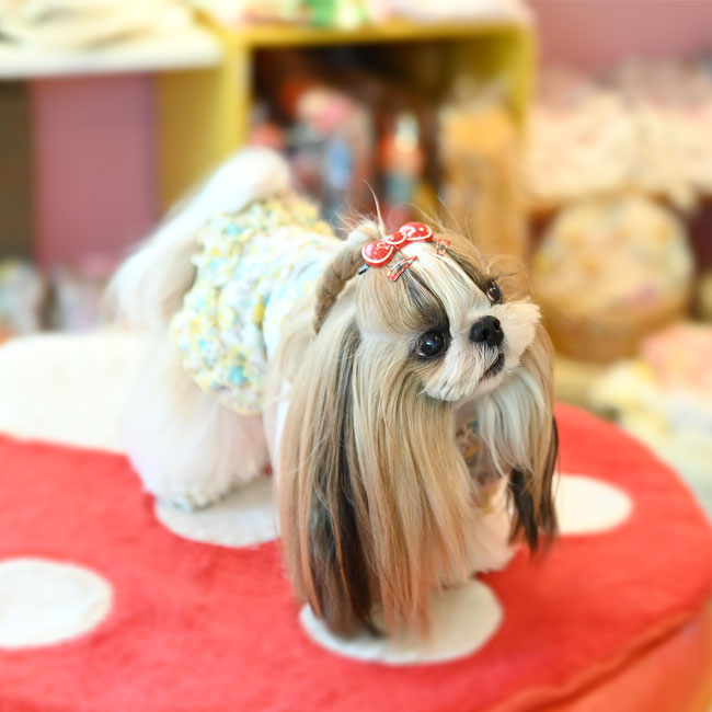 予約受付中☆パンダ ルームウェア ワンピース☆