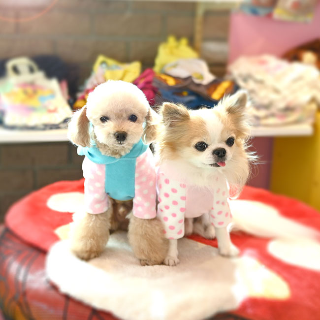 予約受付中☆パンダ ミルク パーカー☆