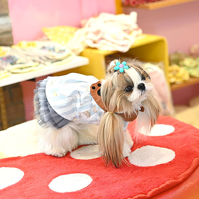 予約受付中☆くまさんシャツ☆