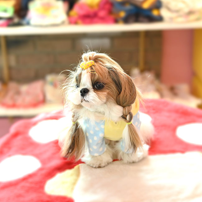 予約受付中☆パンダ ミルク パーカー☆