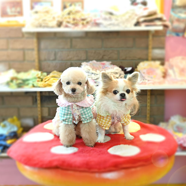 予約受付中☆ラブリーマウス ワンピース☆