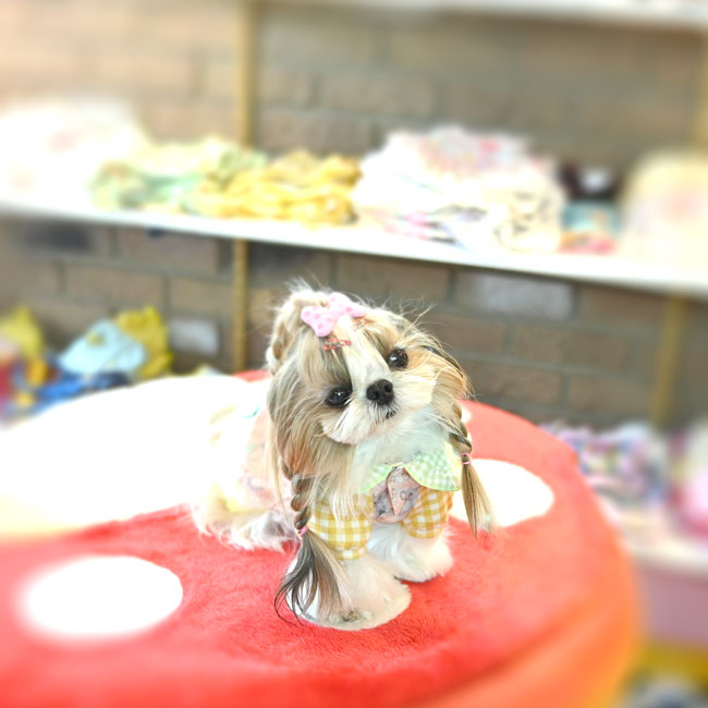 予約受付中☆ラブリーマウス ワンピース☆