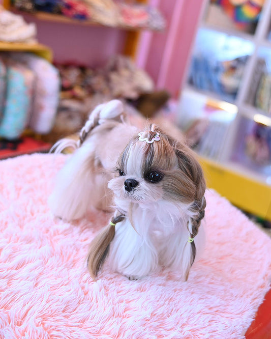 ☆Hexagramパッチン☆