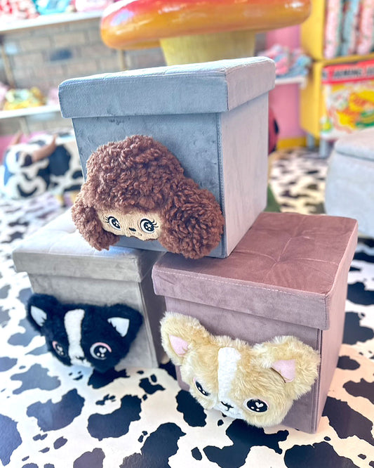 限定商品 ☆J&K収納ボックス☆