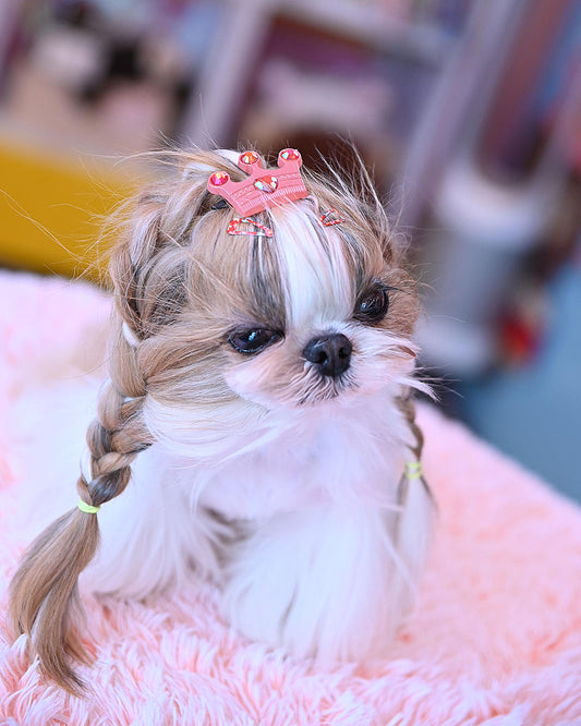 ☆クラウン バレッタ☆