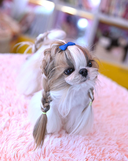 ☆カラフルリボン バレッタ☆