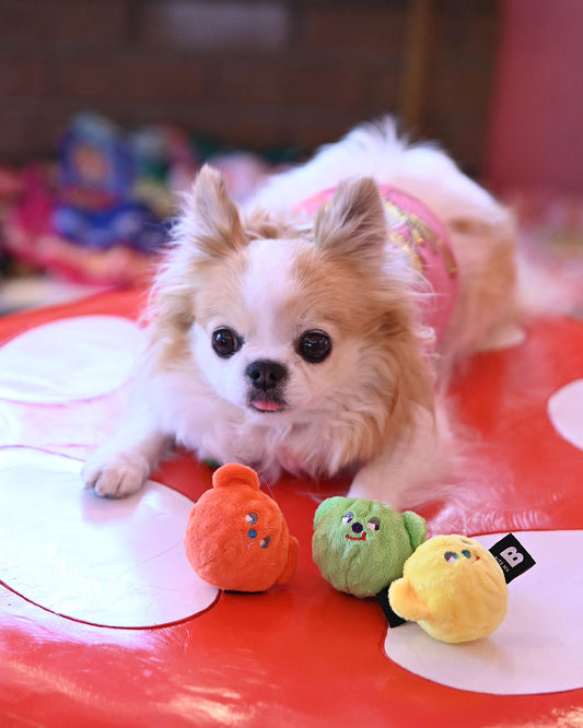 ☆くまキャンディーボールおもちゃ☆