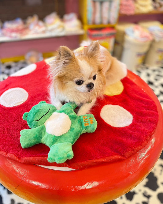 ☆Frogs & Sea otters☆