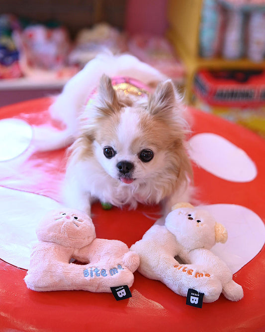 ☆ランラン ラトルトイ☆