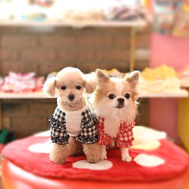 予約受付中☆チェックフリルニット☆