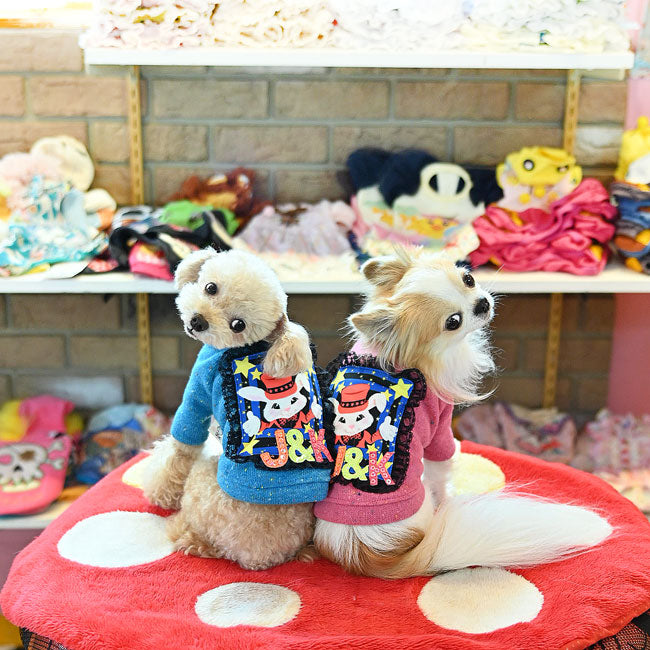 予約受付中☆スターラビット セーター☆
