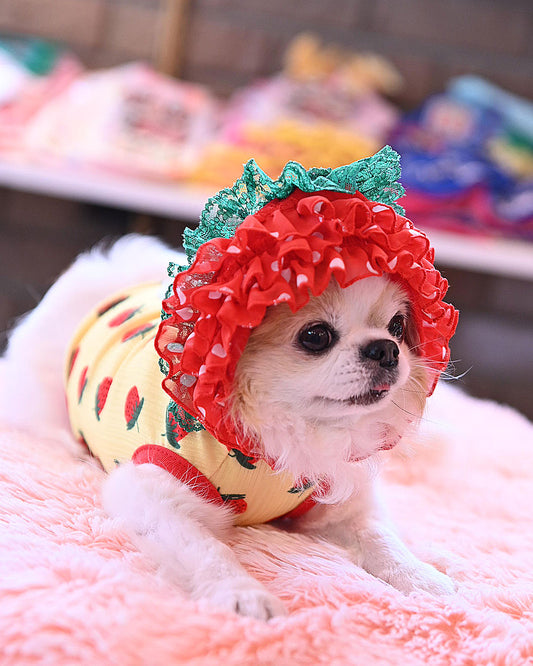 Now accepting reservations ☆Strawberry Elephant Hoodie☆