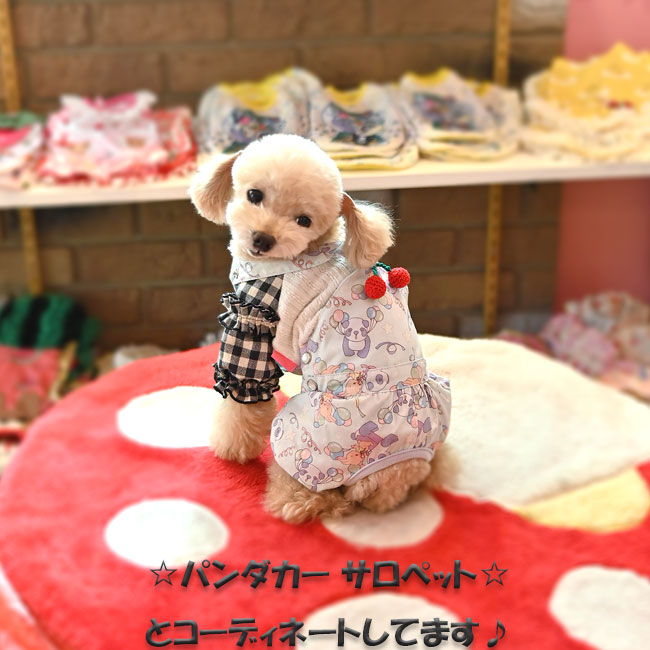 予約受付中☆チェックフリルニット☆