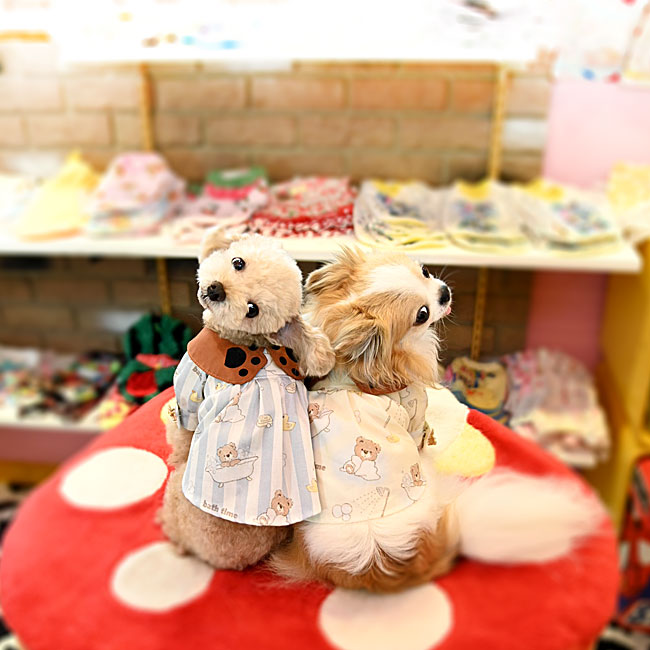 予約受付中☆くまさんシャツ☆