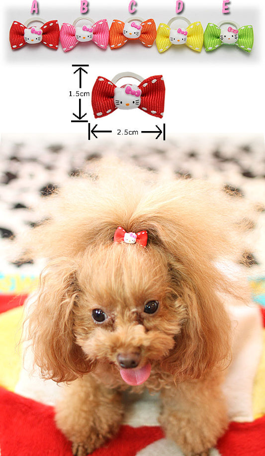 ☆kittyバンド☆