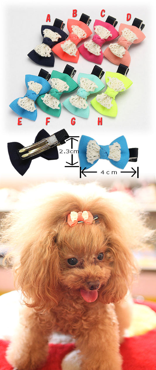 ☆ネオンレースリボン☆