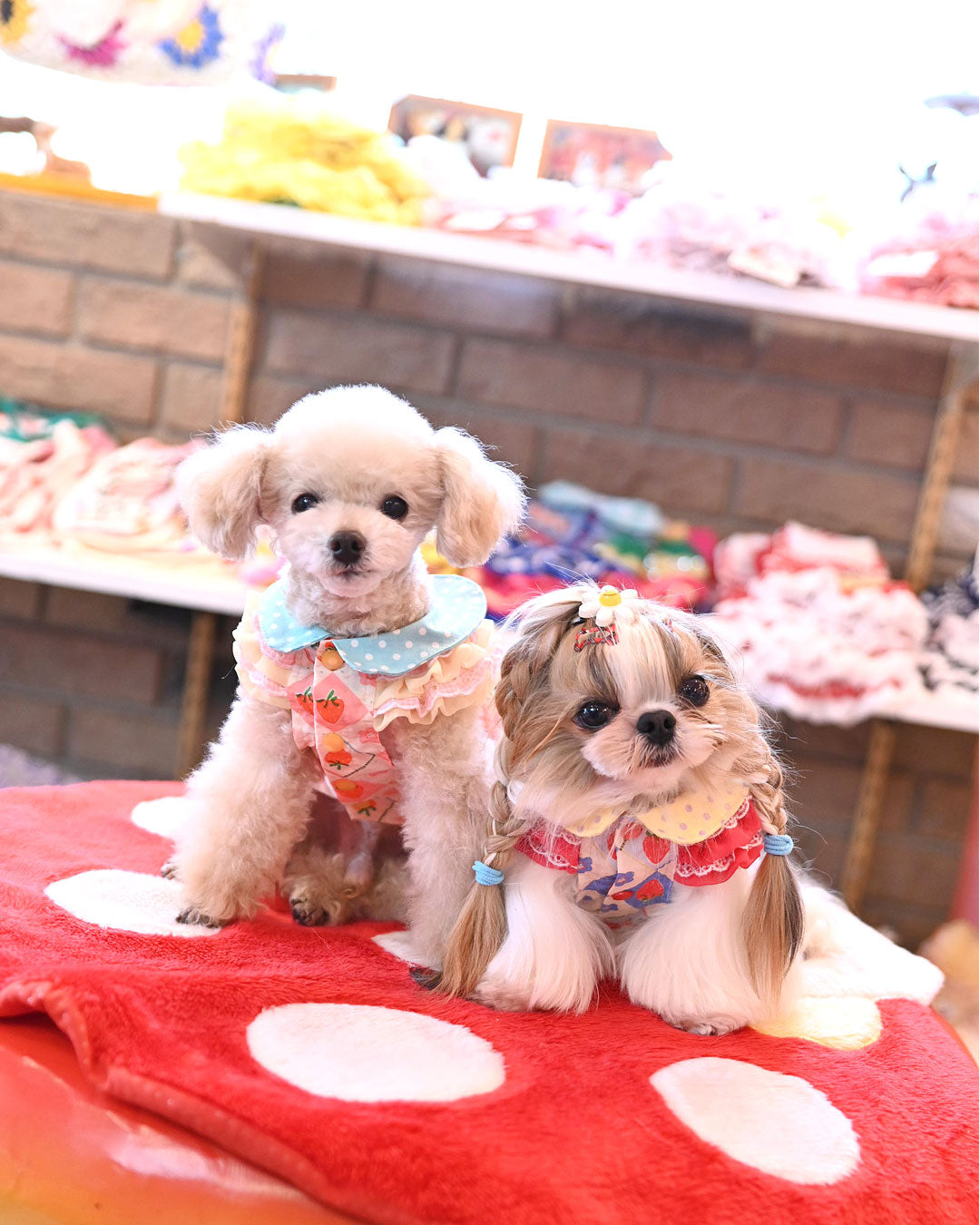 専用【新品】いちごバスケットOPワンピース ピンク 限定品☆いちご ワンピース☆予約受付中 Pink – J&Kanimals