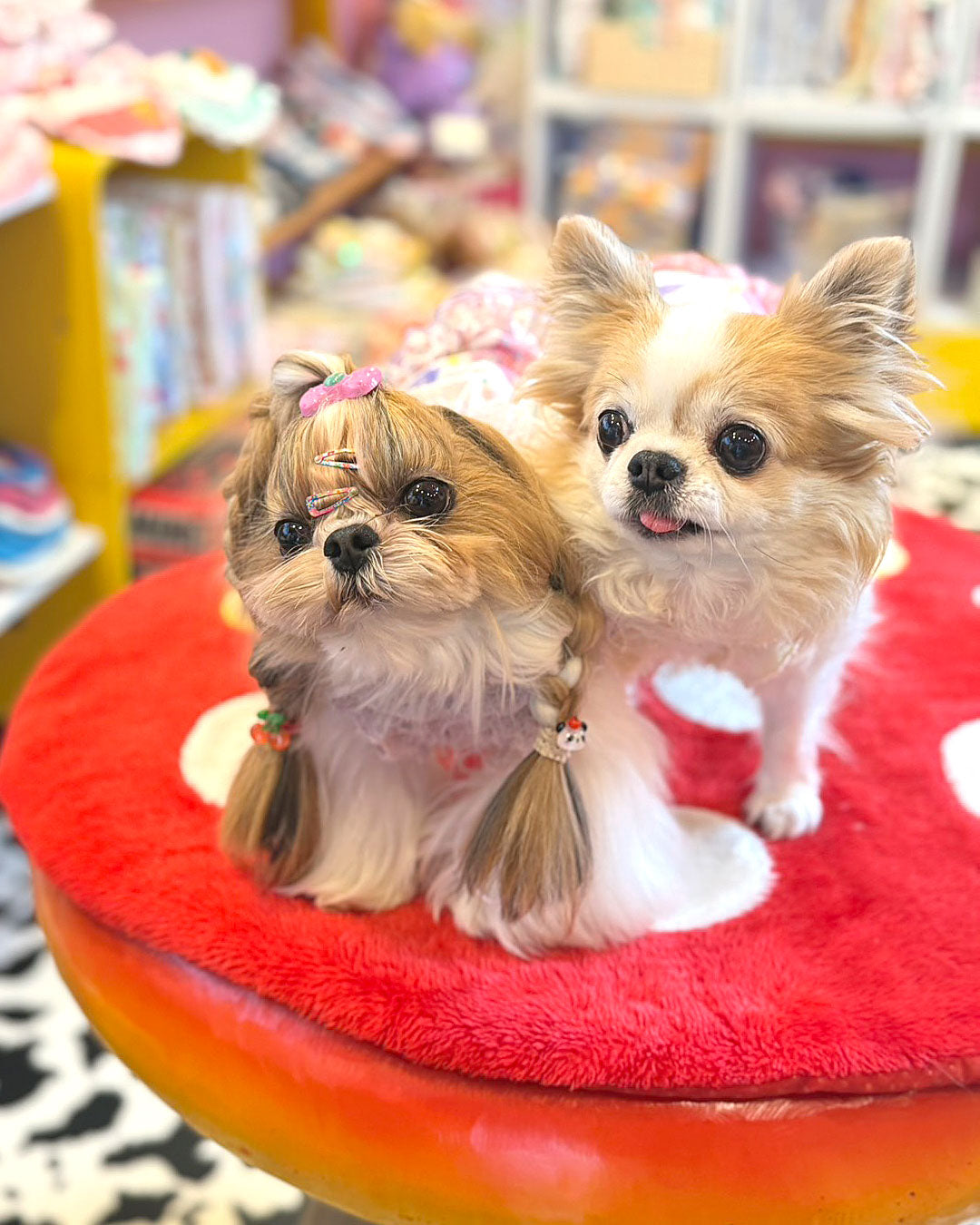 予約受付中 ✨☆ふわもこベア ワンピース☆✨