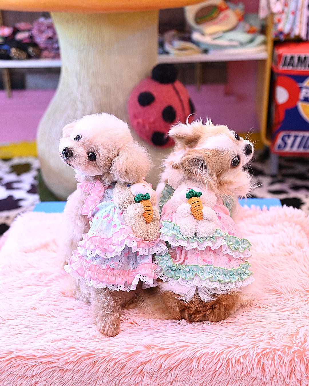 予約受付中 ☆チェリーうさぎ ワンピース☆