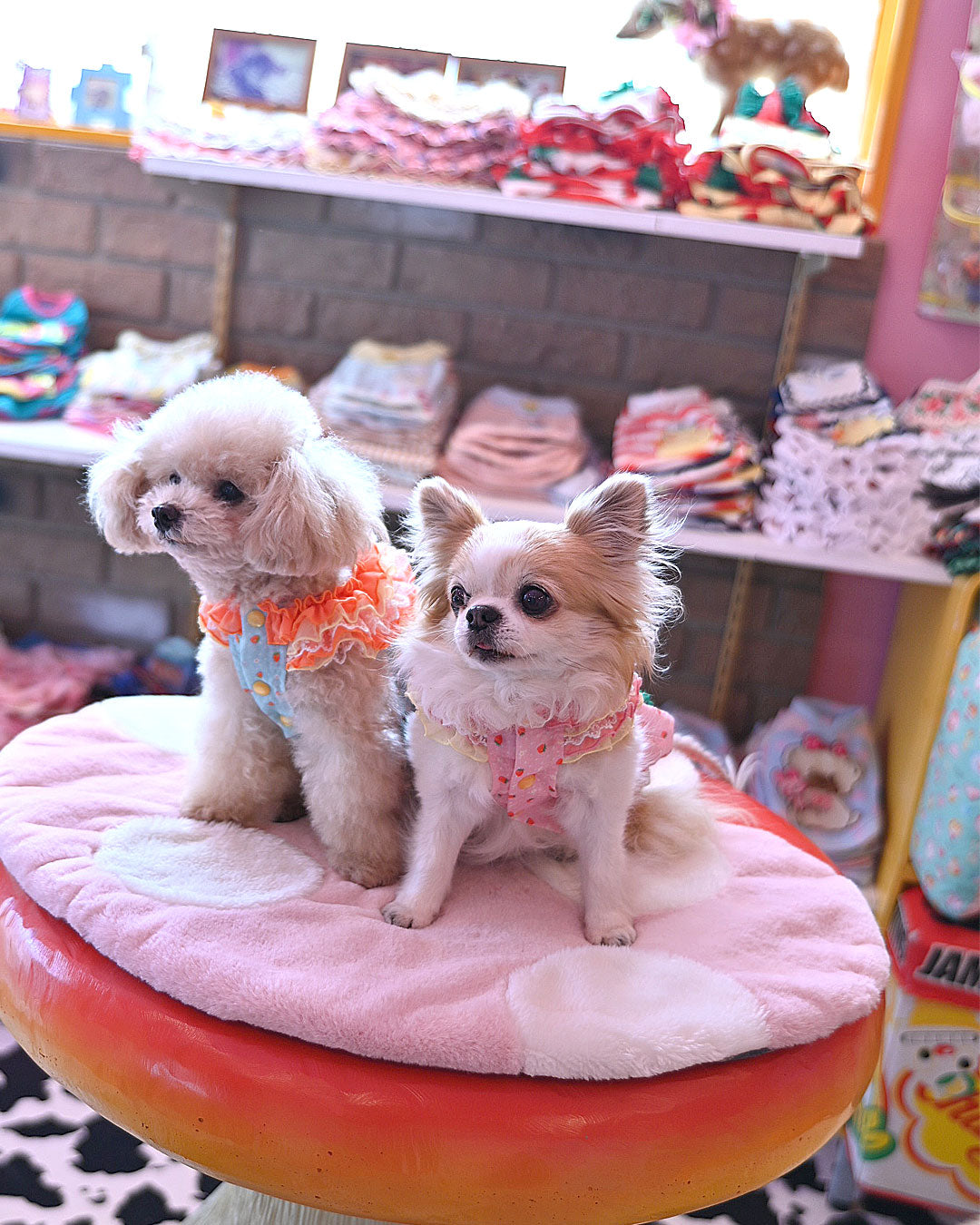 Now accepting preorders ☆Flower Heart Dress☆