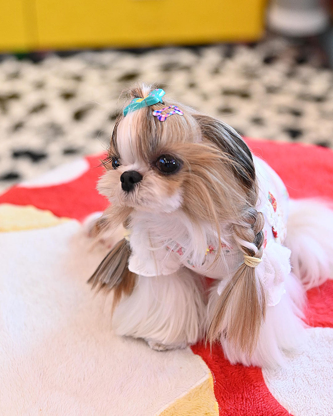 予約受付中 ☆いちごうさぎセーター☆ – J&Kanimals