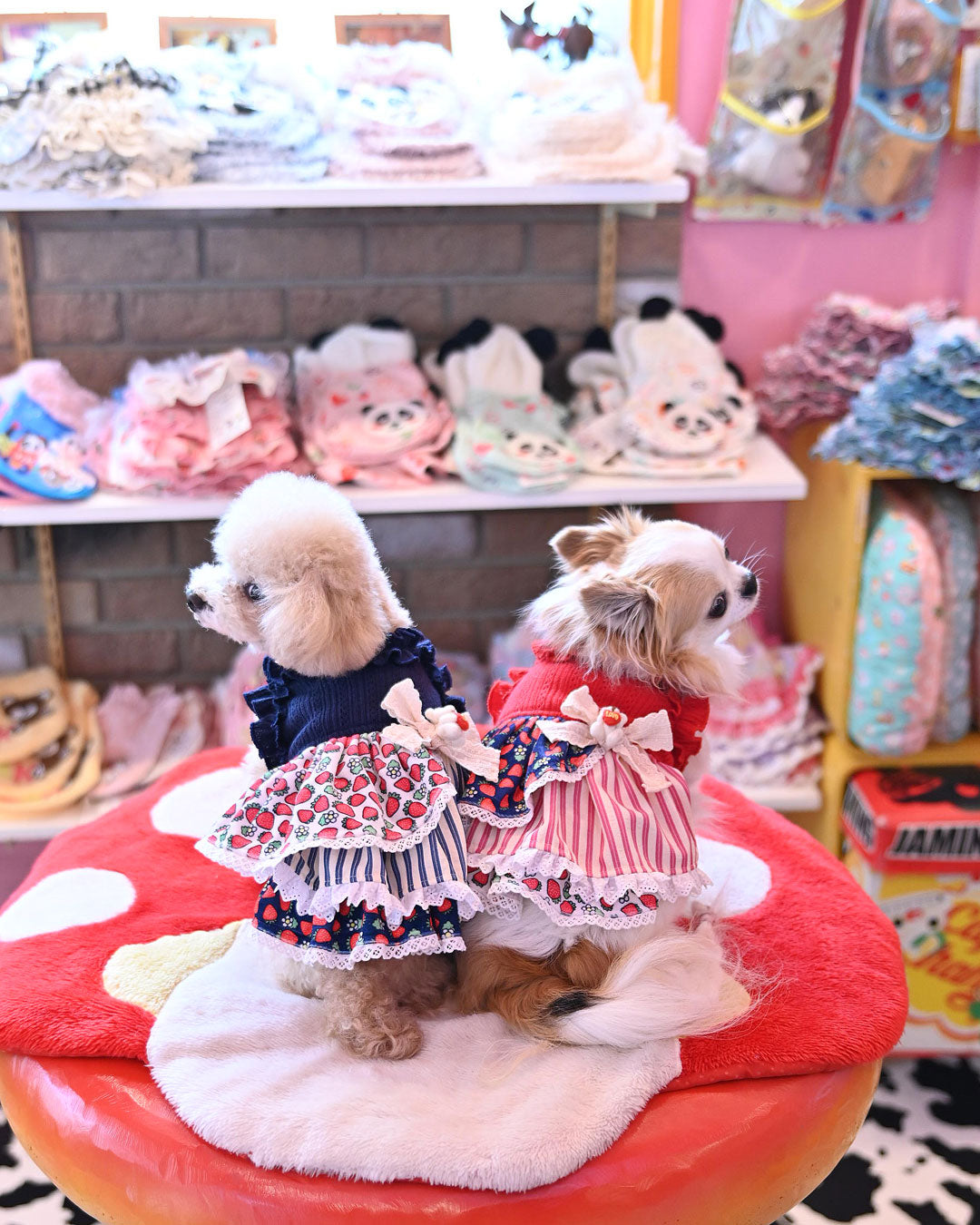 ☆ストライプいちごOP☆ – J&Kanimals