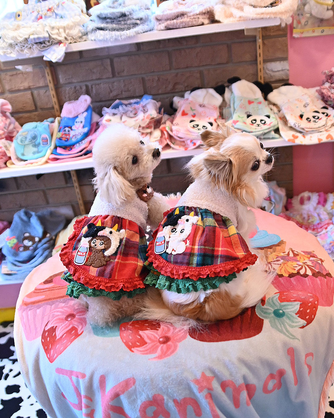 SALE☆モーモーくまさん ワンピース☆ – J&Kanimals