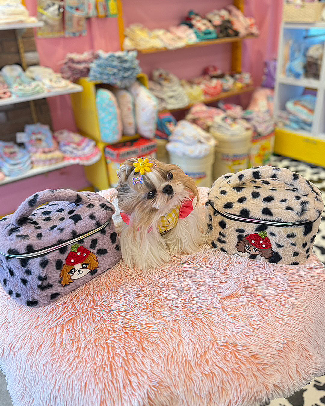 SALE☆バニティーBOX☆ – J&Kanimals