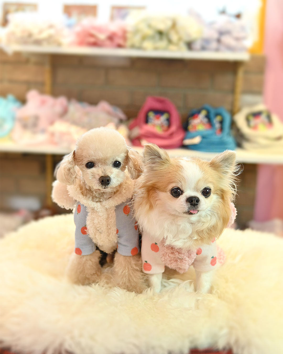 ☆シュガーちゃん つなぎ☆ – J&Kanimals