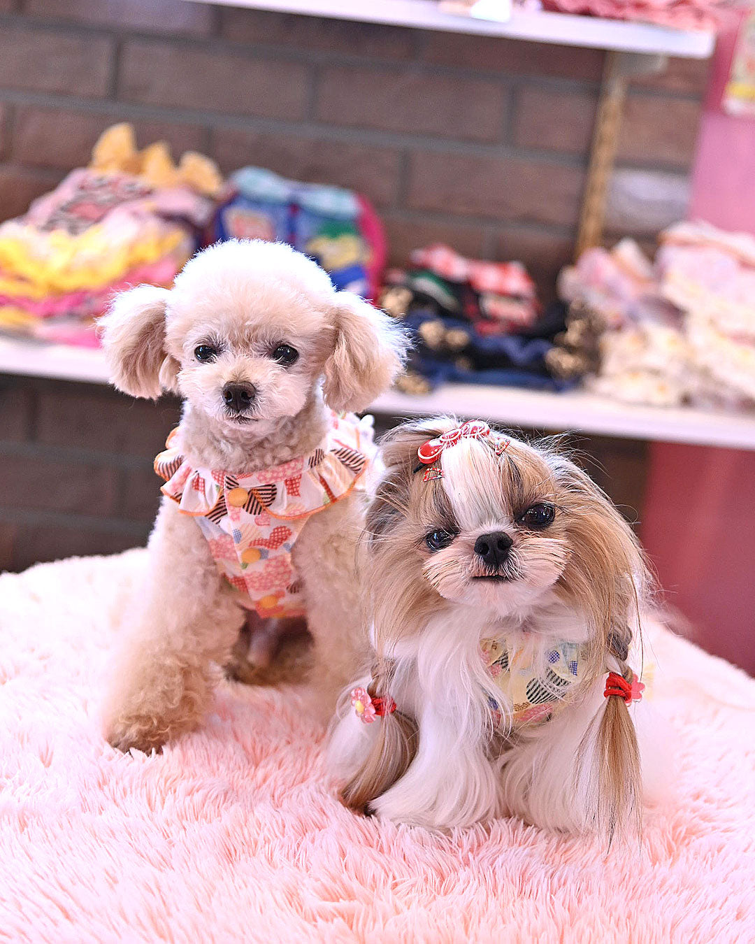 Ｊ＆Ｋanimals　ホワイトシュガーちゃん　限定ワンピース　完売品　３ＳーＬ ☆シュガーちゃん まるちゃん OP☆ – J&Kanimals