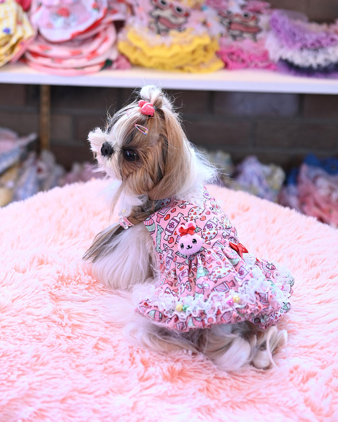 ☆ベレーちゃん シャツ☆ – J&Kanimals