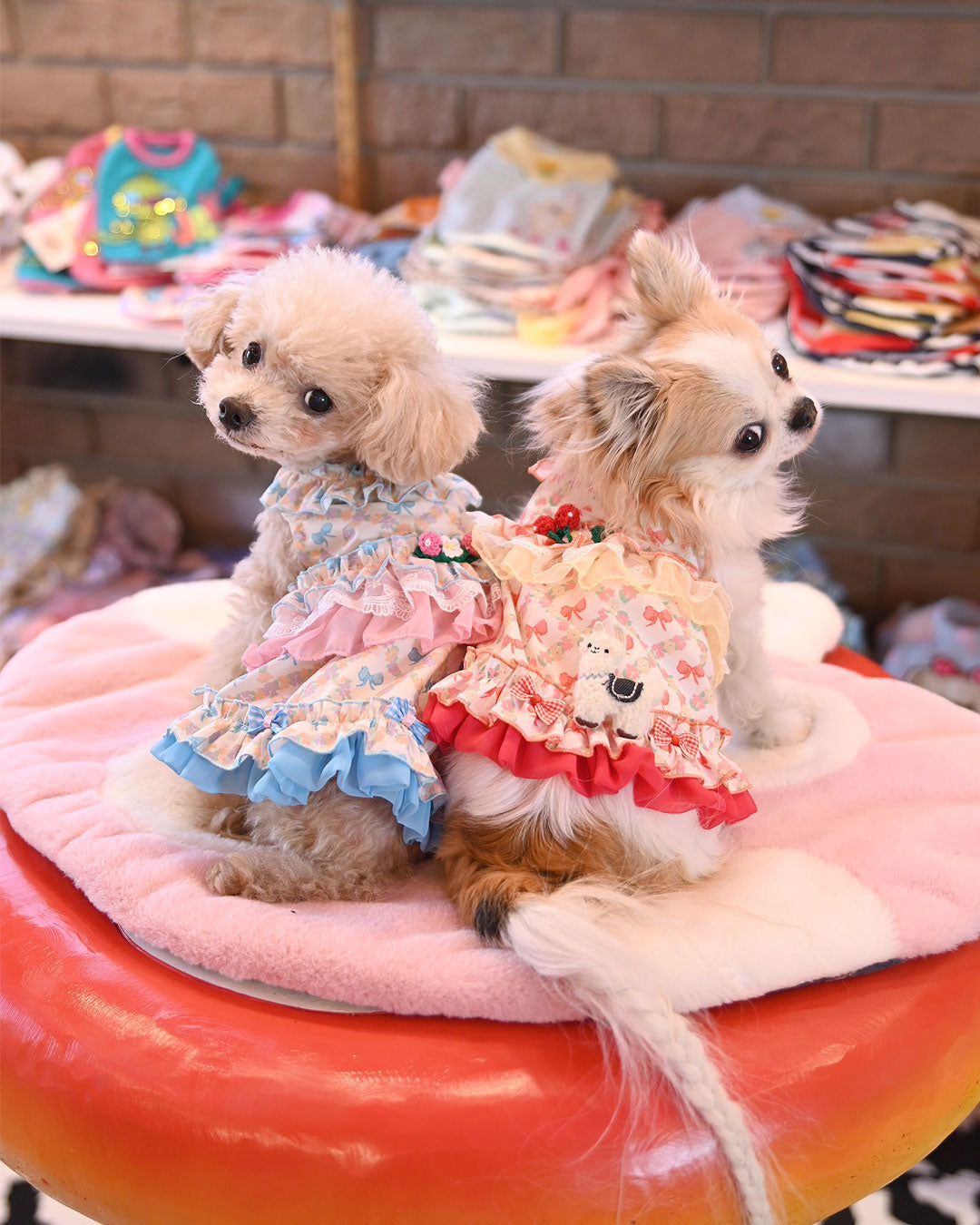 予約受付中☆リボン ティアードOP☆