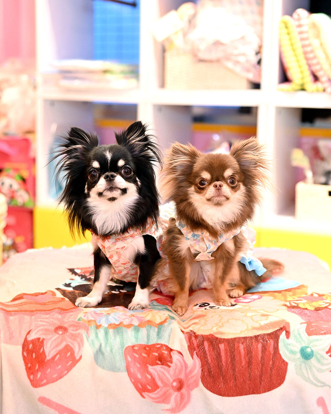 予約受付中☆リボン ティアードOP☆