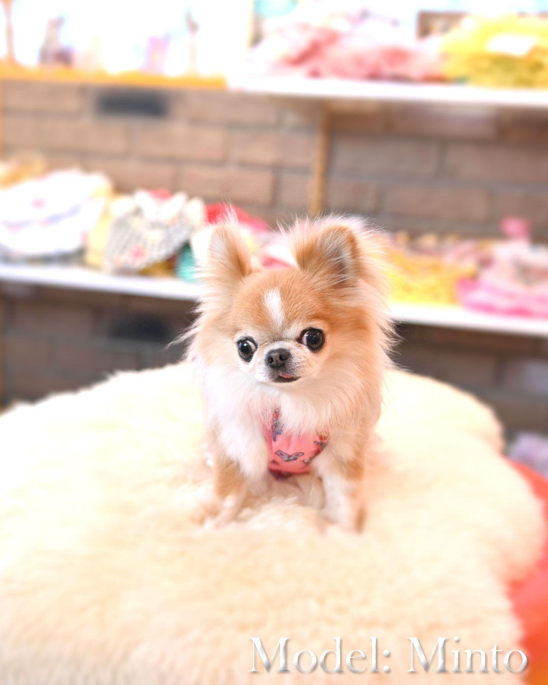 予約受付中☆お花ハート ワンピース☆
