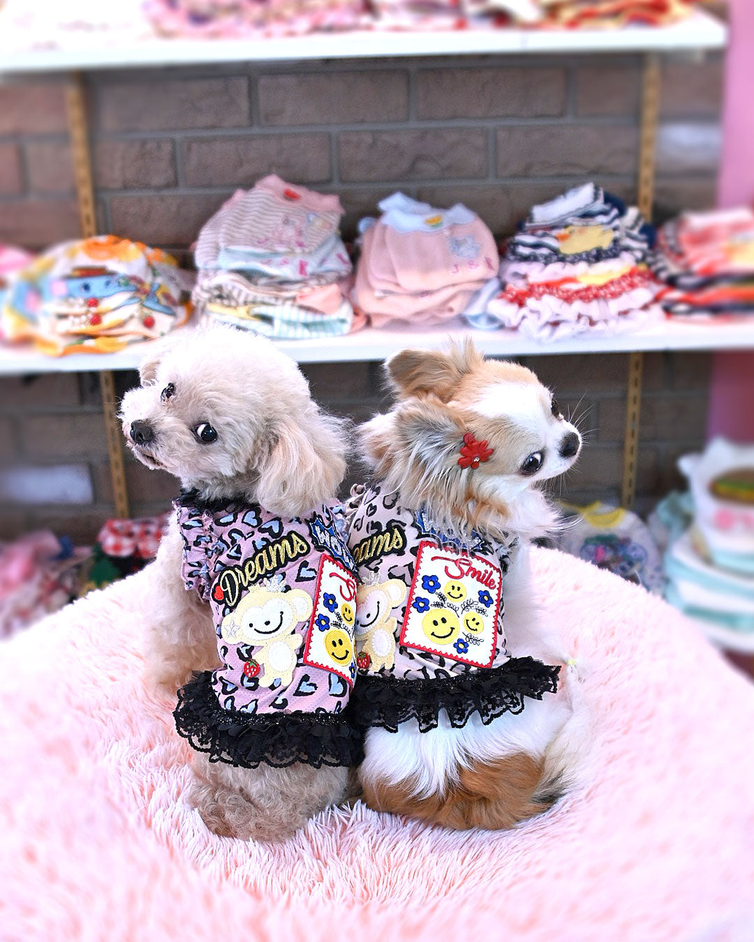 予約受付中 ☆スマイル モンキーレオパードOP☆