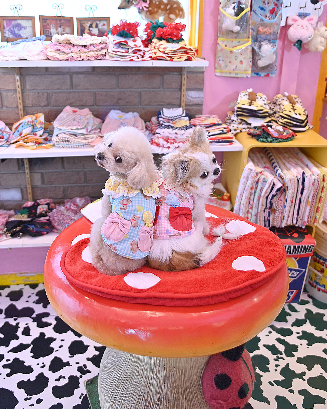 予約受付中 ☆くまキャンディーTシャツ☆