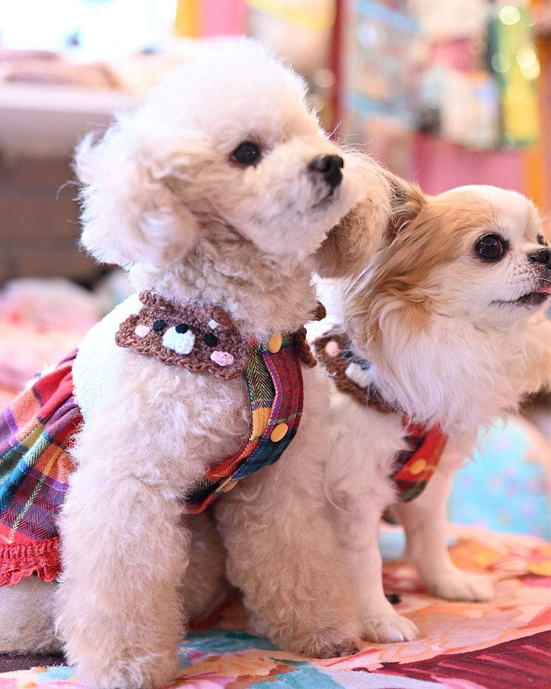 ☆モーモーくまさん ワンピース☆