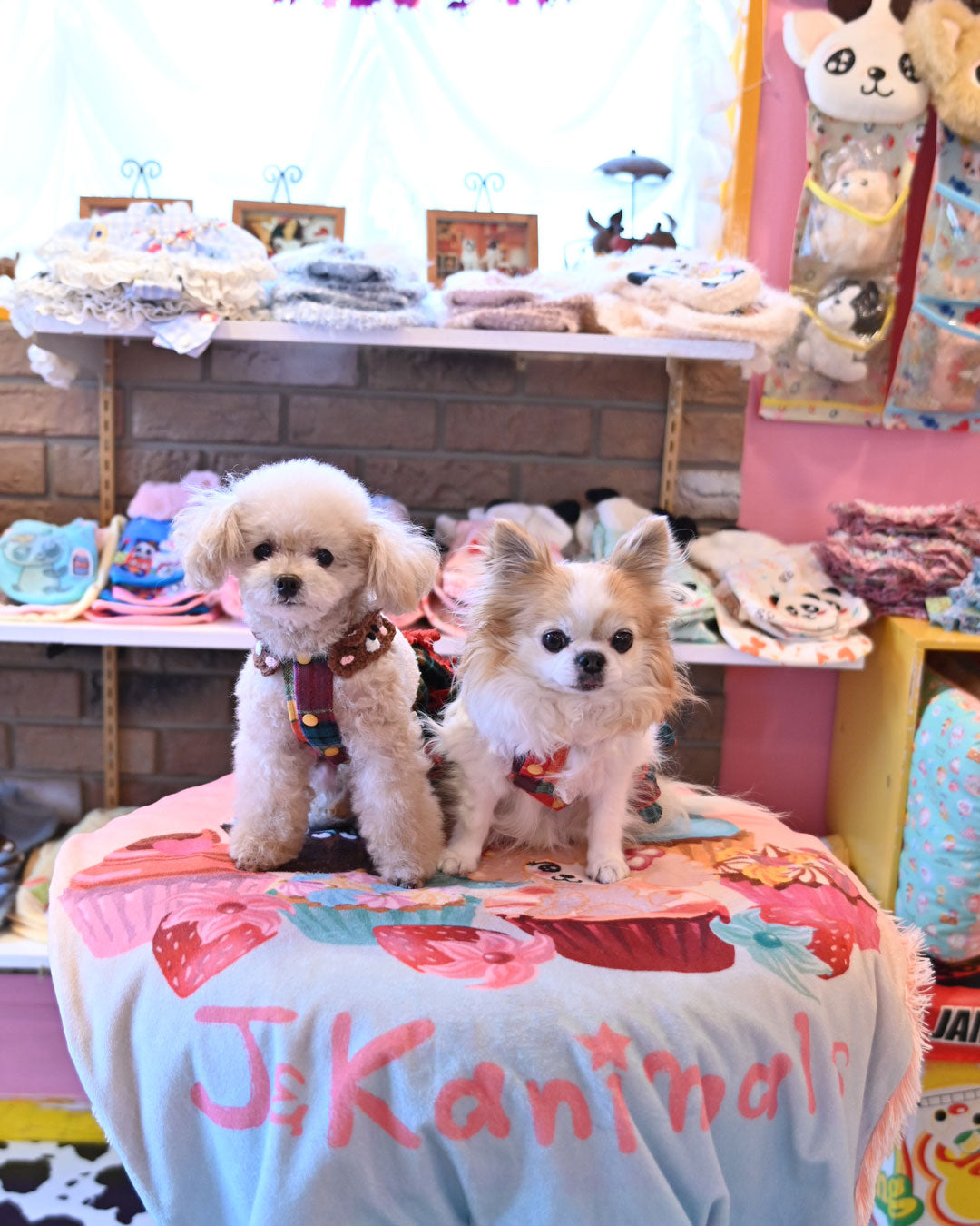 ☆モーモーくまさん ワンピース☆