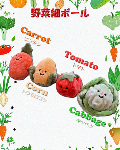 Vegetable Garden Ball