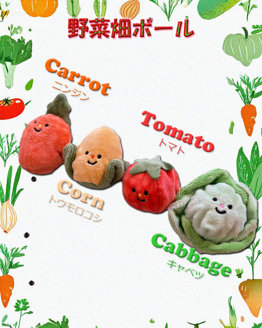 野菜畑ボール