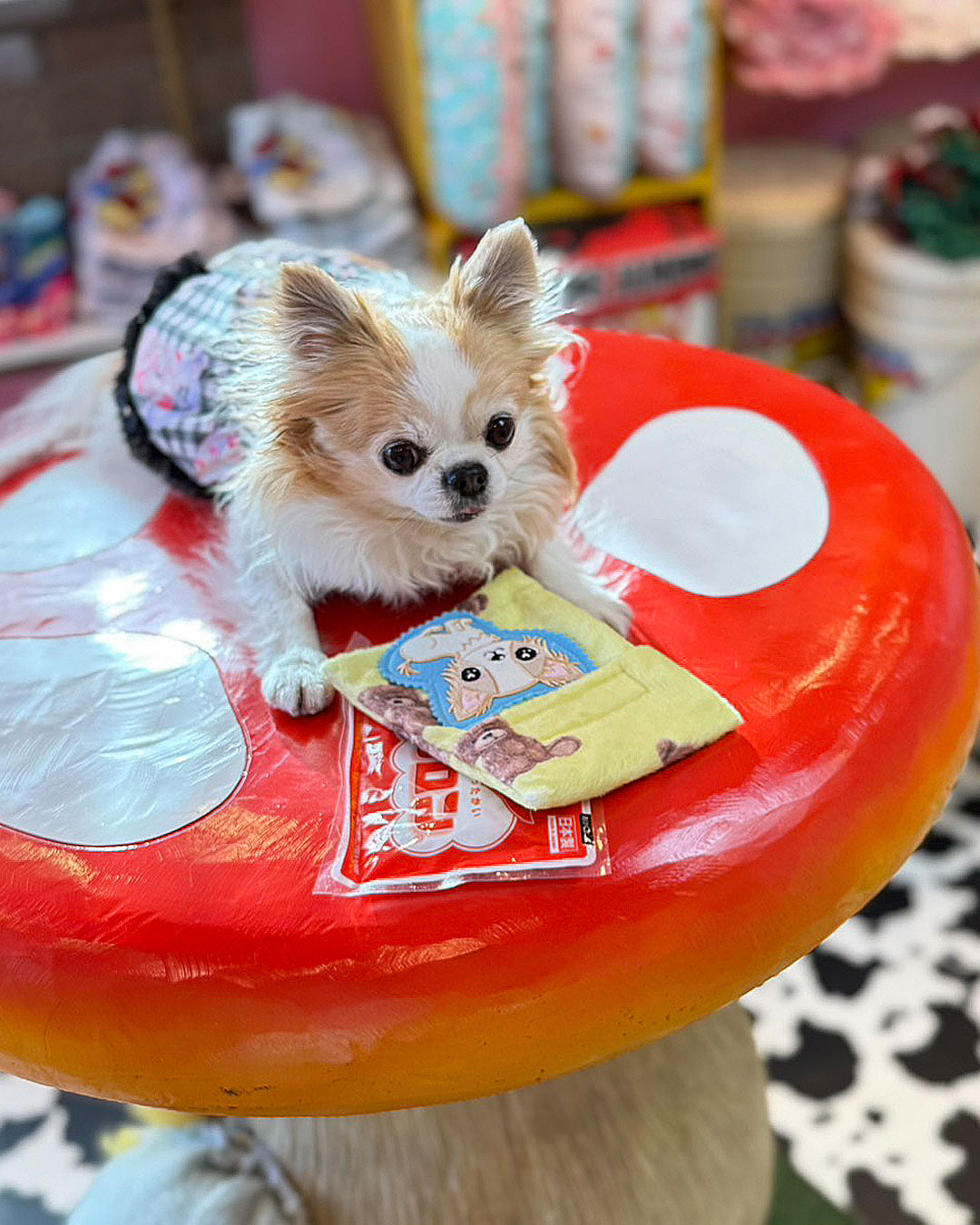 ☆カイロケース☆