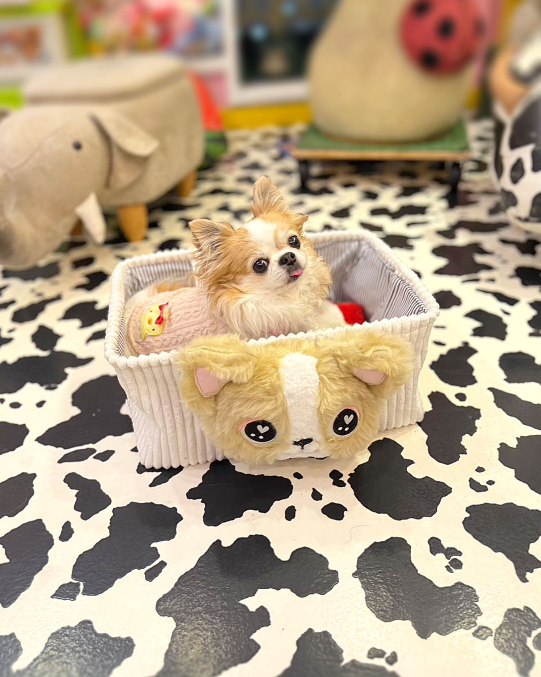 ☆収納BOX☆ – J&Kanimals