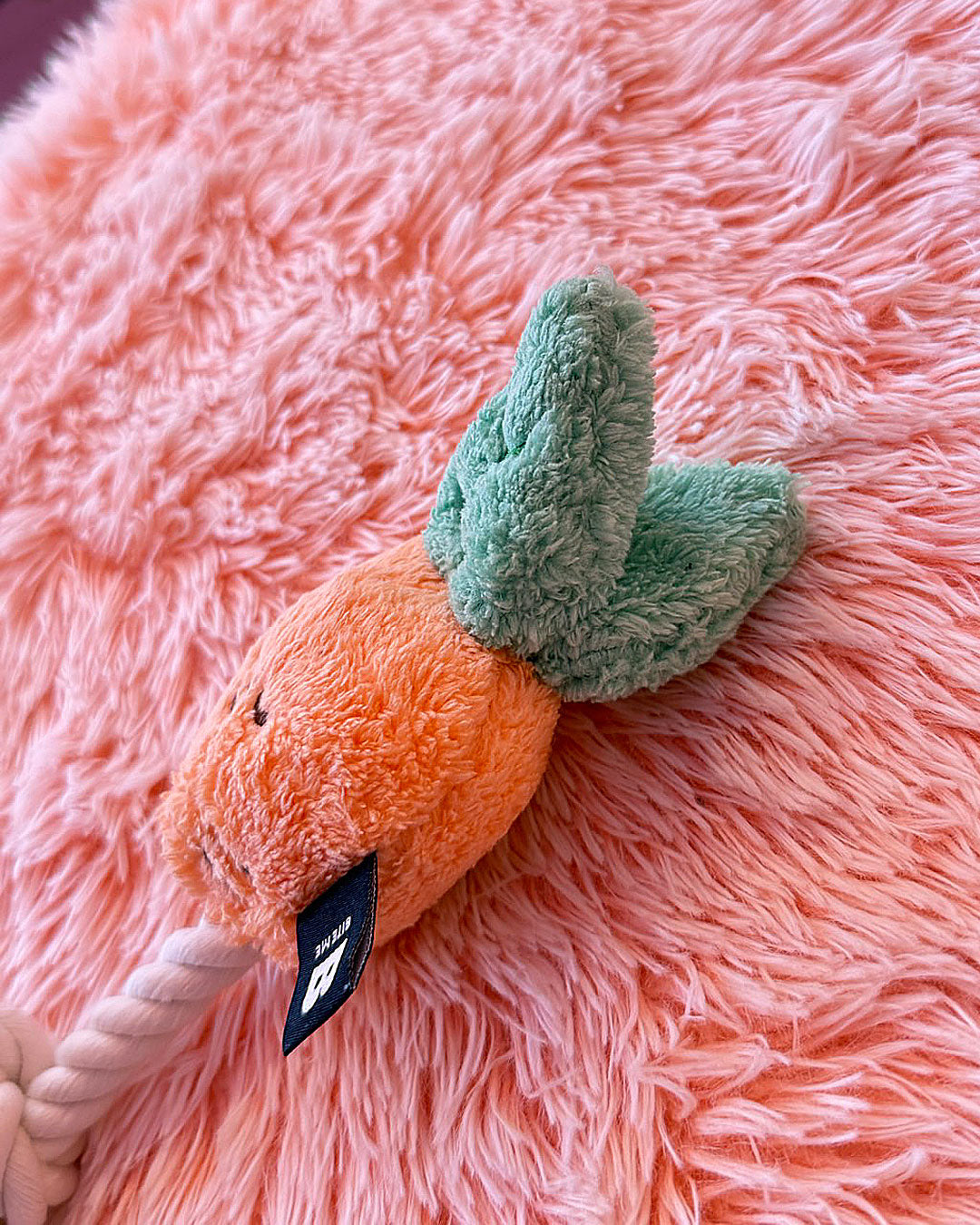 ☆Carrot☆