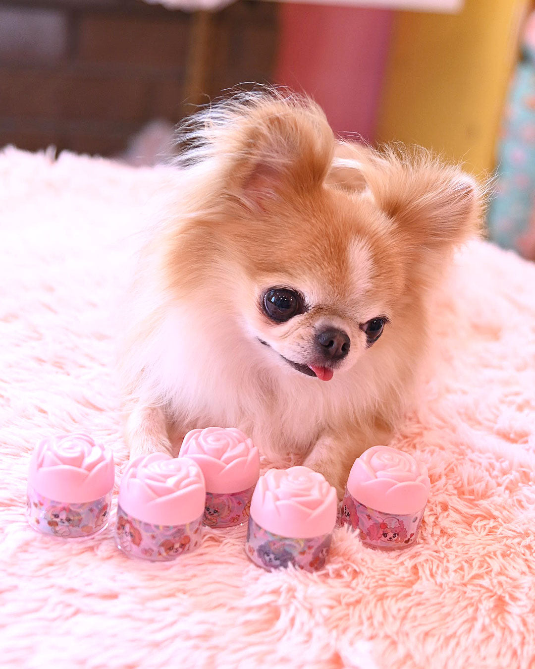 ☆ケース付き ヘアゴム vol.2☆ – J&Kanimals