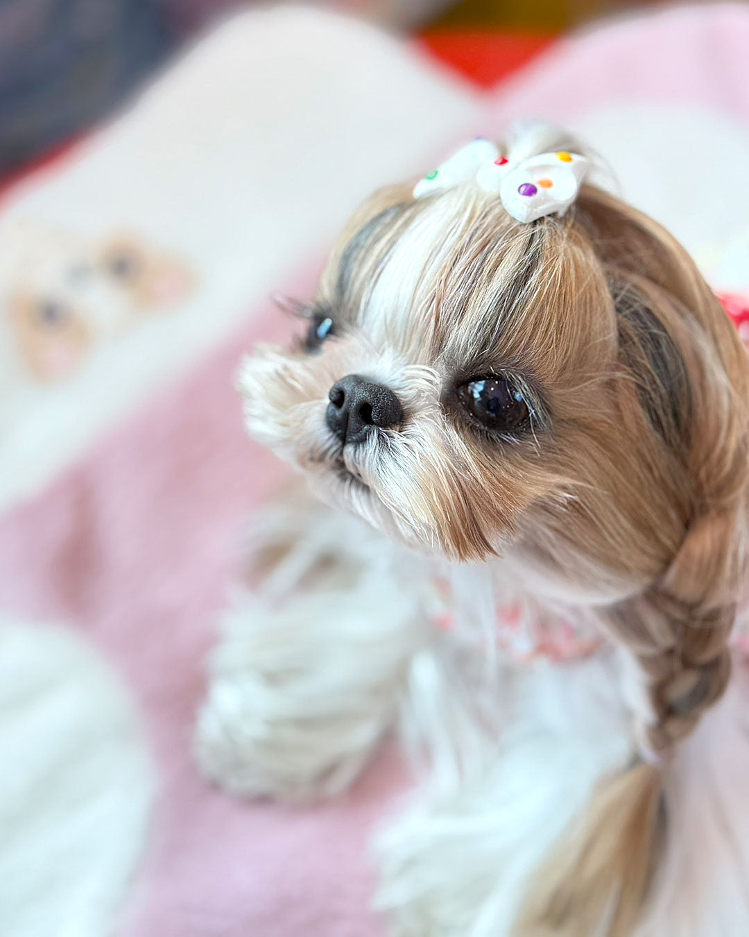 ☆りぼんバレッタ☆