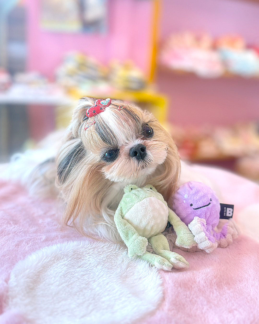 ☆カエル＆タコ TOY☆