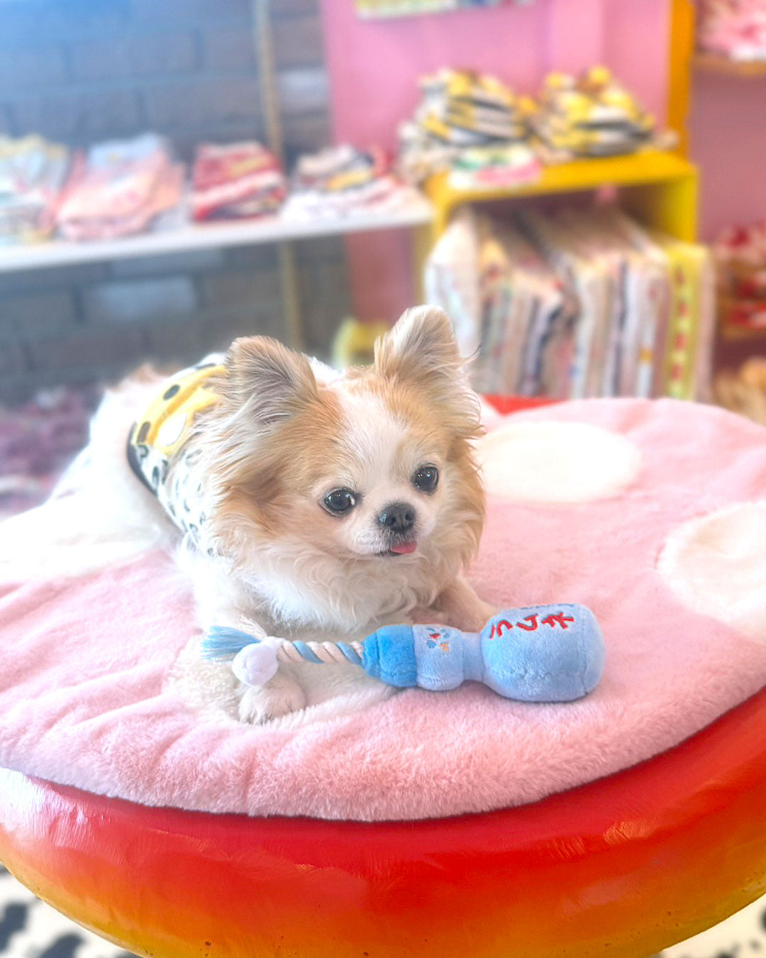 ☆Rope Toy☆